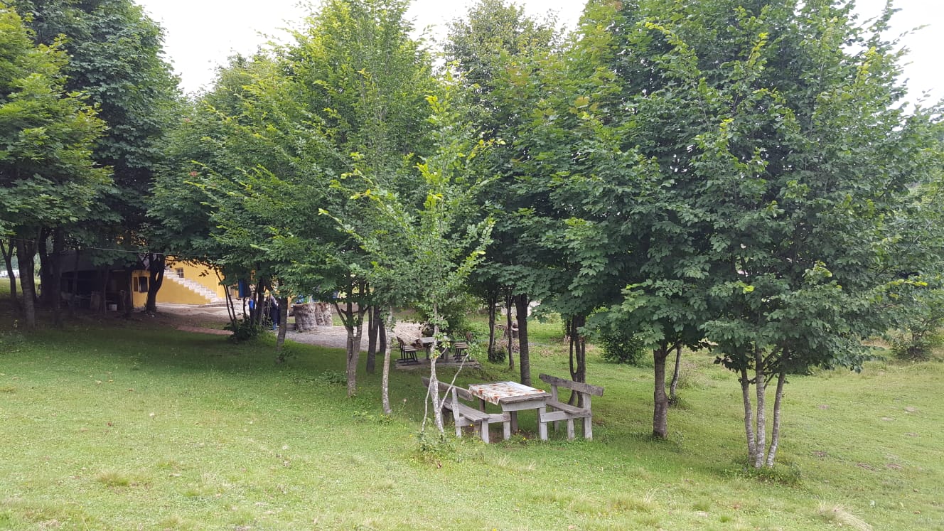 İteniçi Alabalık Çiftliği — photo 4