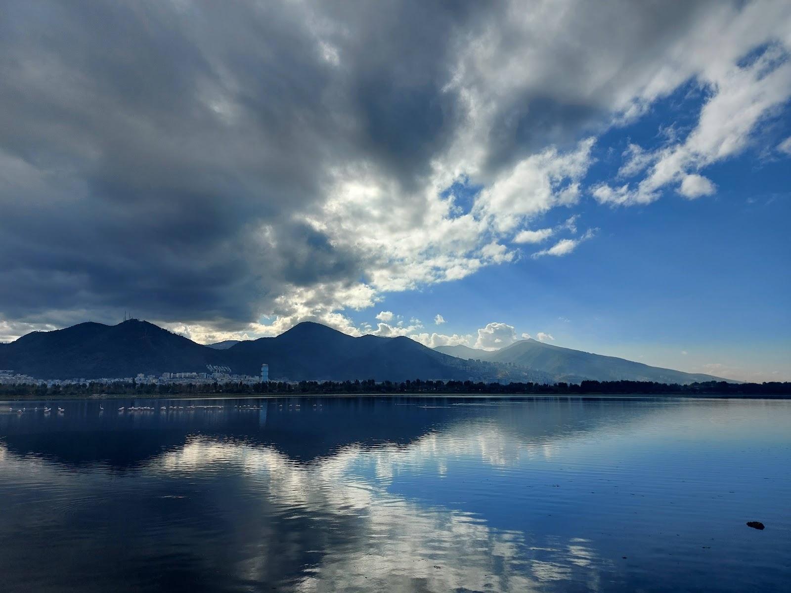 İzmir Büyükşehir Belediyesi İnciraltı Kent Ormanı — fotoğraf 5