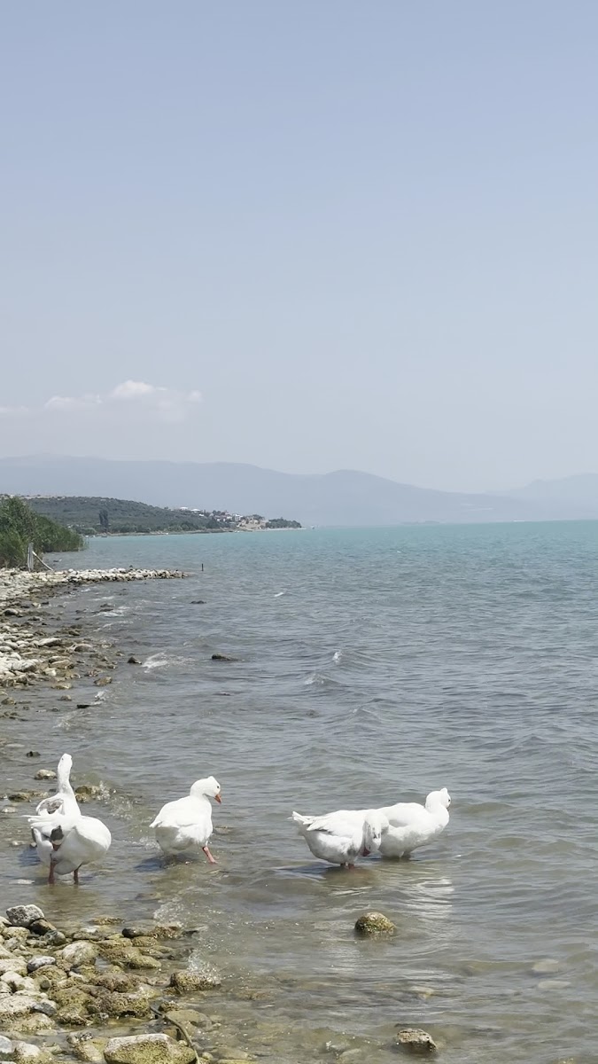 İznik Askania Hotel & Restaurant — photo 3