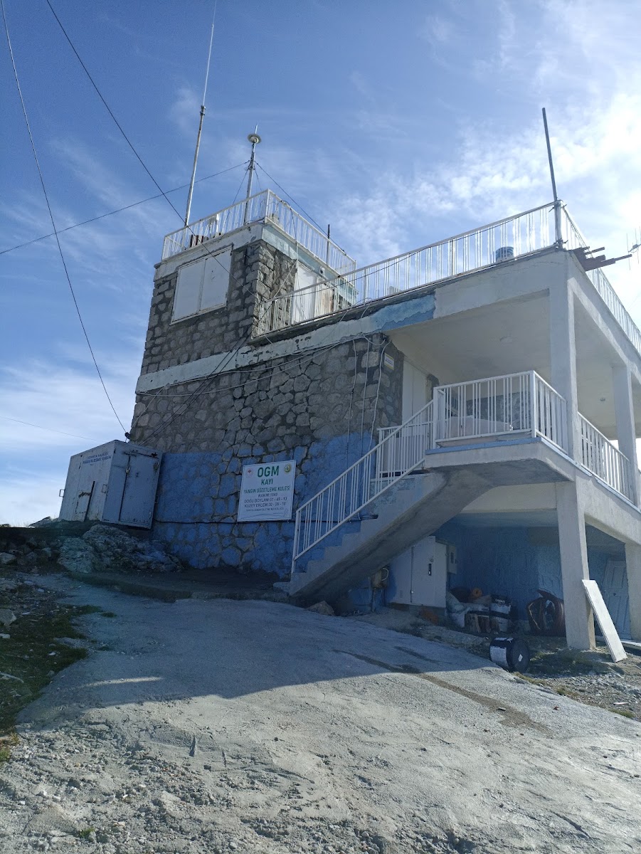 Jandarma Hatıra Ormanı — fotoğraf 2