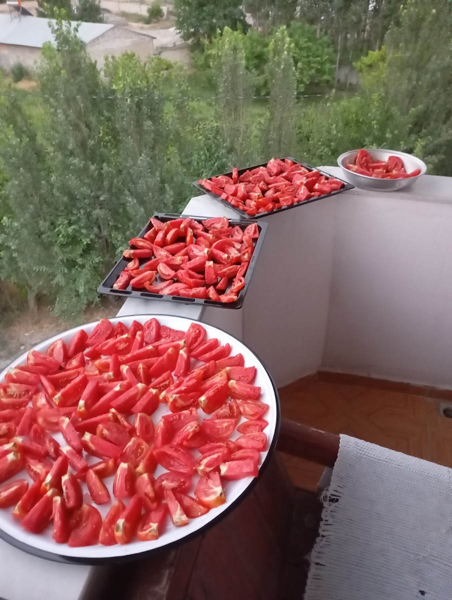 Jandarma Sosyal Tesisleri — fotoğraf 2
