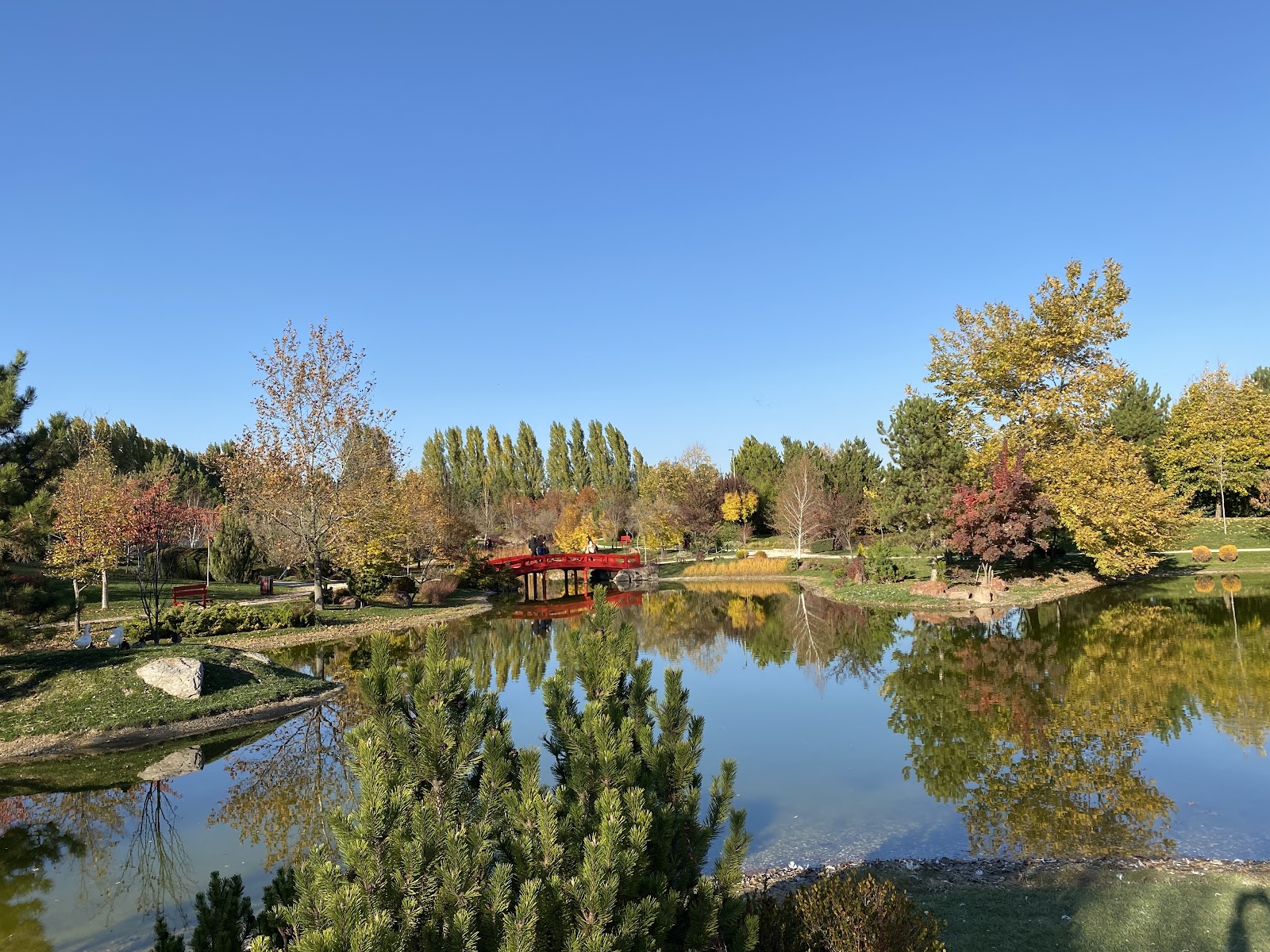 Japon Bahçesi, Anadolu Üniversitesi — fotoğraf