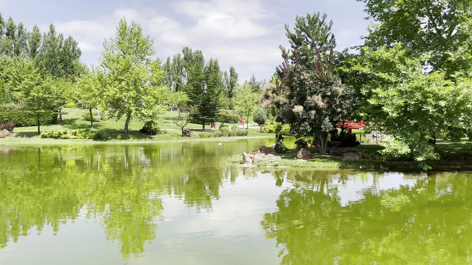 Japon Bahçesi, Anadolu Üniversitesi — fotoğraf 3