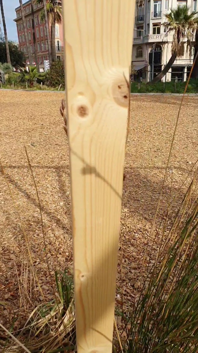 Jardin Albert 1er — photo 4