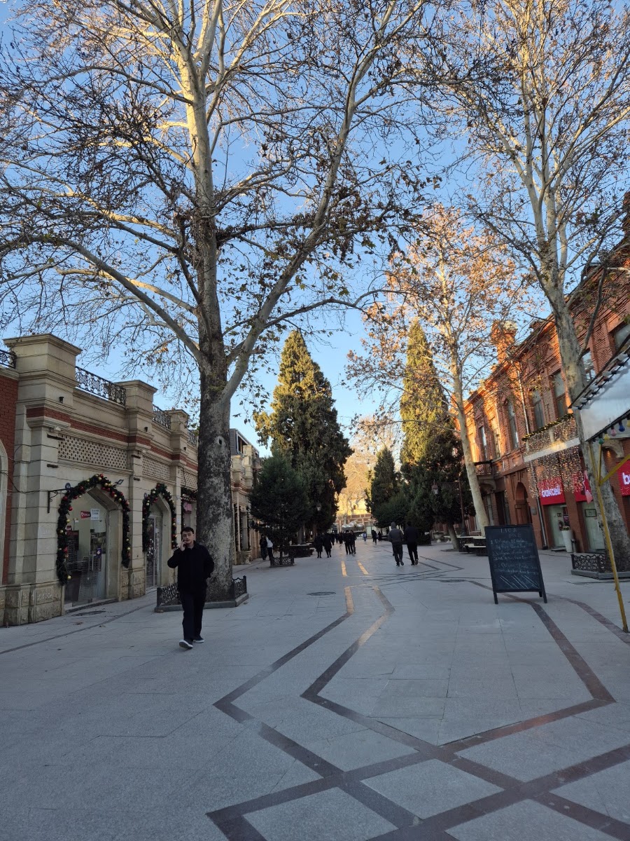 Javad Khan Street — photo