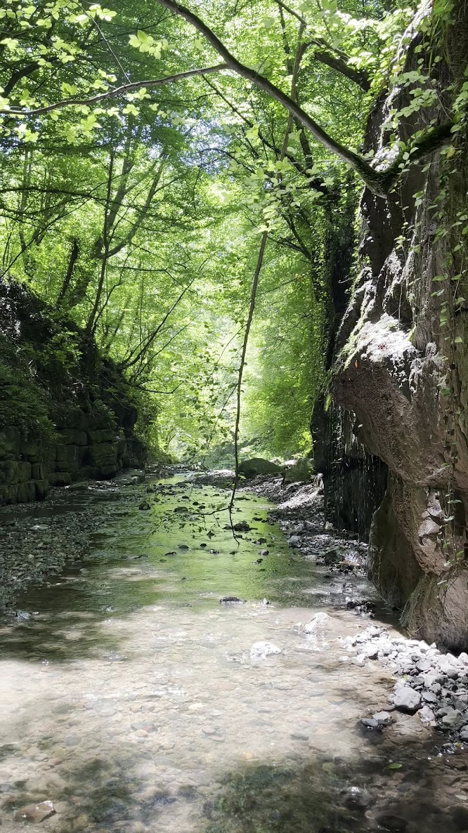 Kabaceviz Şelalesi — photo 3