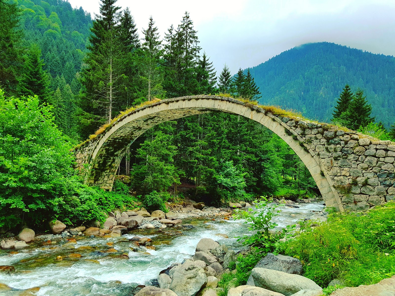 Kaçkar Dağları Milli Parkı — fotoğraf 10