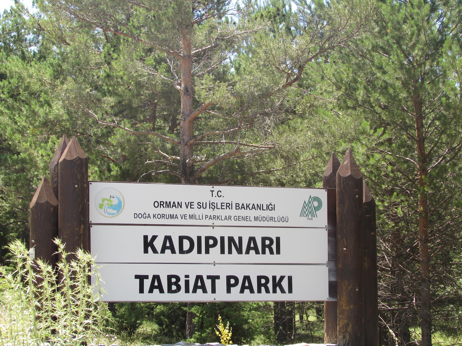 Kadıpınarı Tabiat Parkı — photo 2