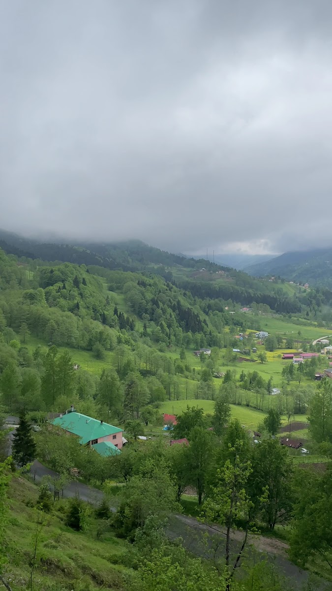 Kadırga Yaylası — photo 5