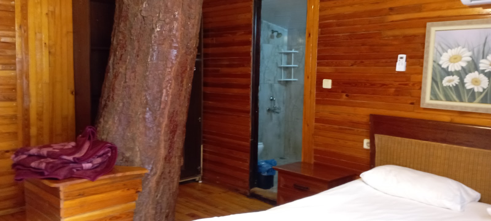 Kadir's Tree Houses — fotoğraf 4