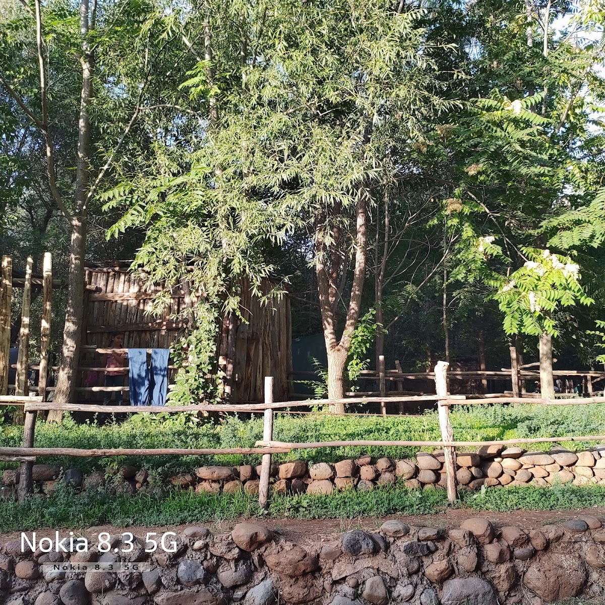 Kadran — fotoğraf 1