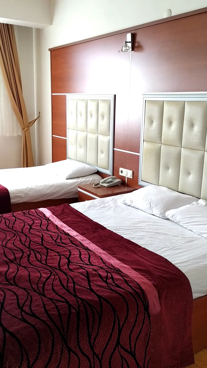 Kafkas Ari Hotel — fotoğraf 6