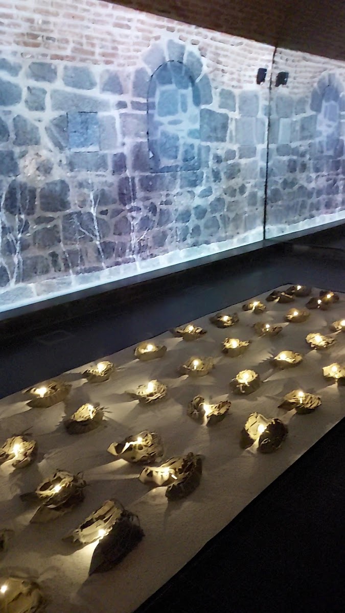 Kafkas Cephesi Harp Tarihi Müzesi — fotoğraf 3