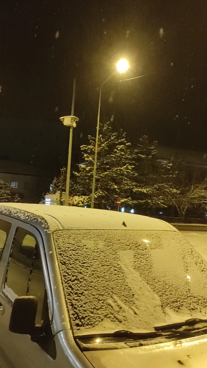 Kafkaseli — fotoğraf 2