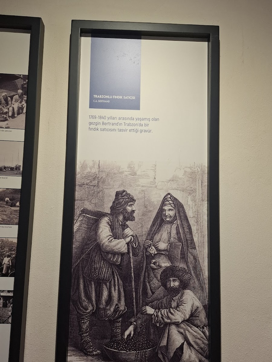 Kahraman Sağra Fındık Müzesi — fotoğraf 2