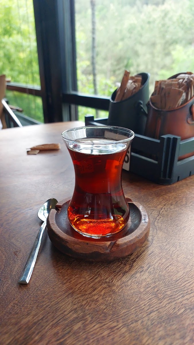 Kahve orman — fotoğraf 2