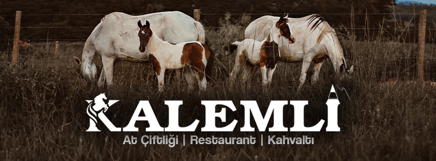 Kalemli At Çiftliği — fotoğraf 6