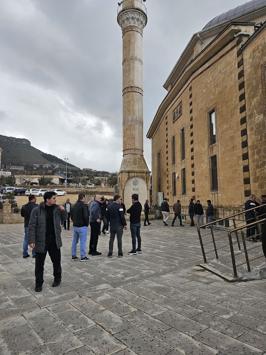 Kamor Millet Bahçesi — fotoğraf 2