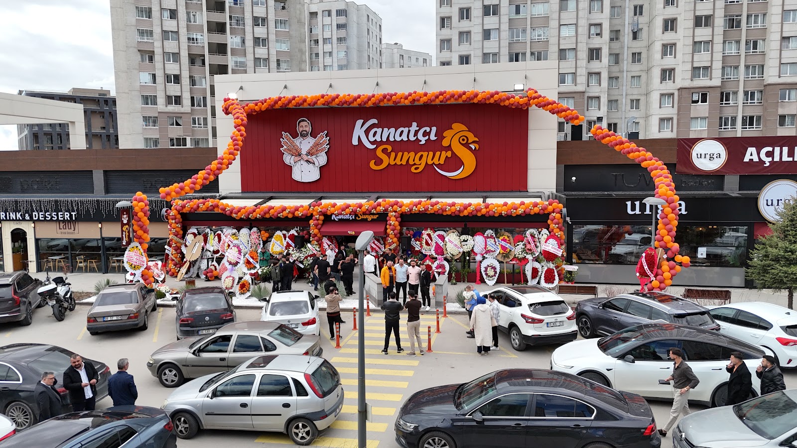 Kanatçı Sungur — fotoğraf