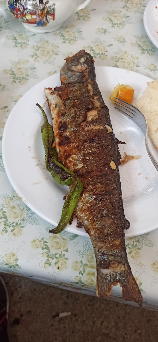 Kanisipi Alabalık Dinlenme Tesisi — photo
