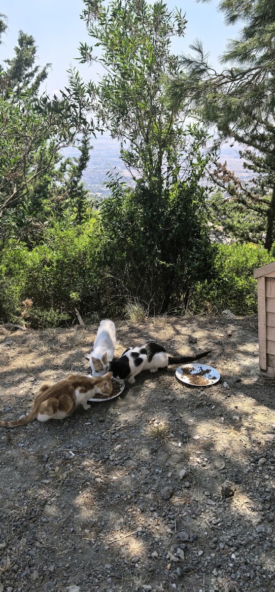 Kantara Kalesi — fotoğraf 2