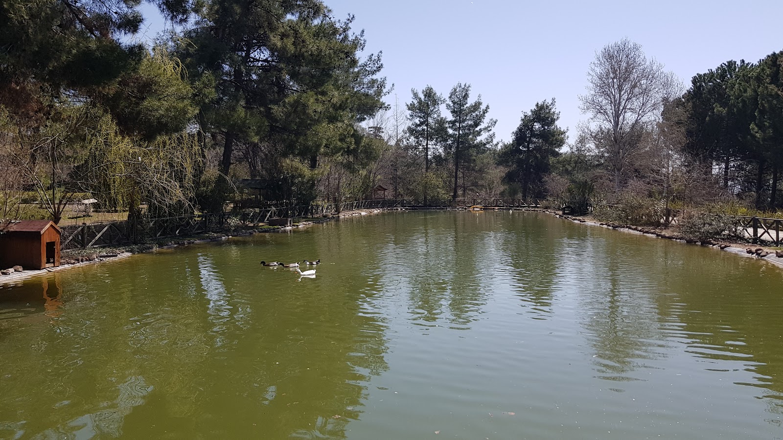 Kapıçam Tabiat Parkı — fotoğraf