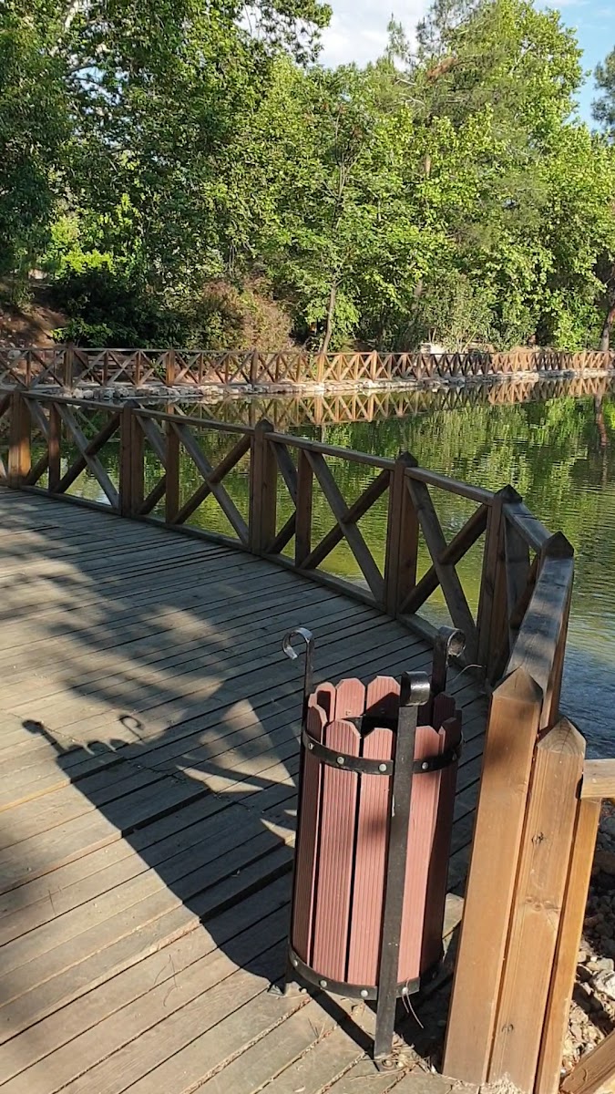 Kapıçam Tabiat Parkı — fotoğraf 3