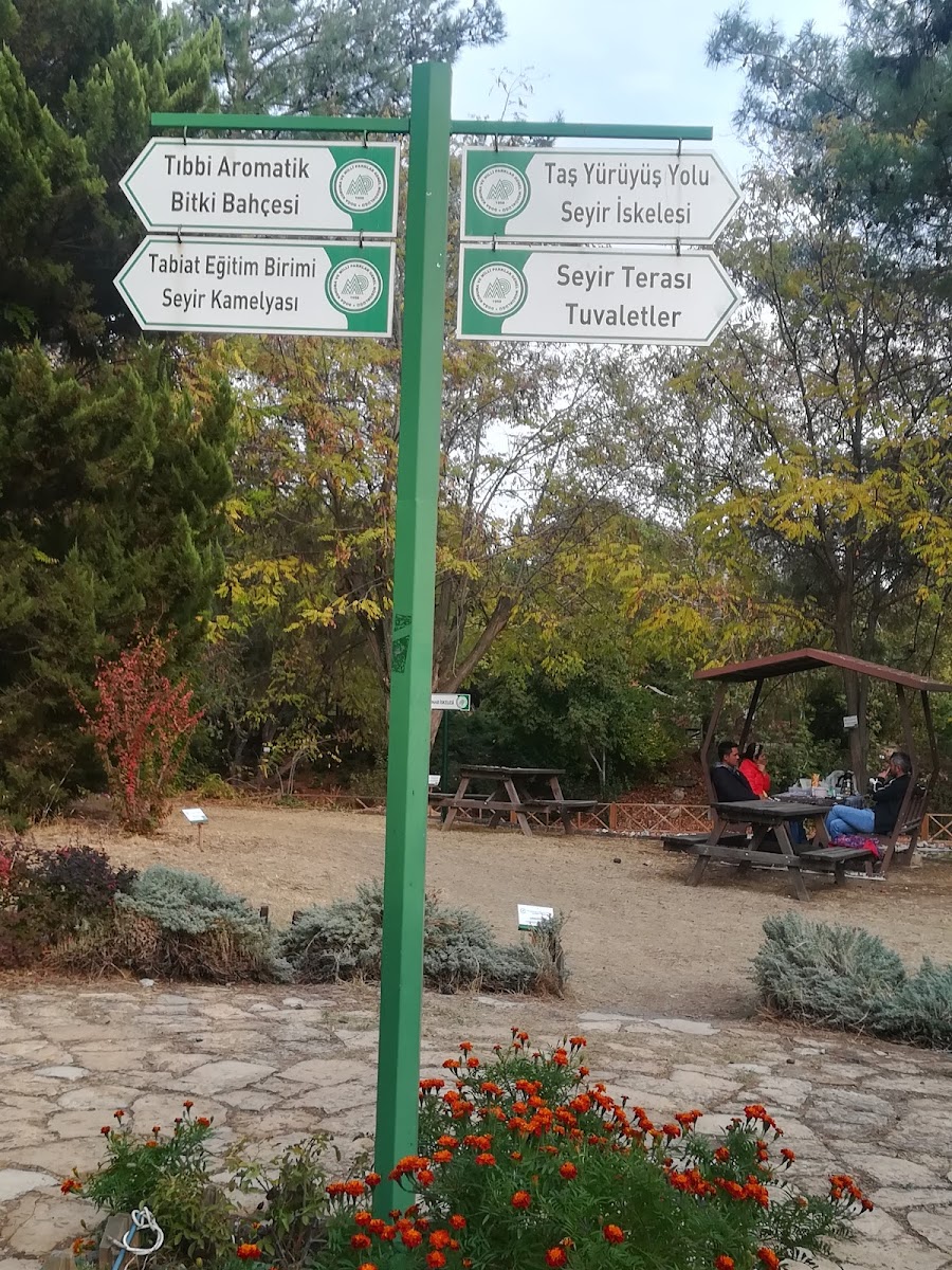 Kapıçam Tabiat Parkı — fotoğraf 4