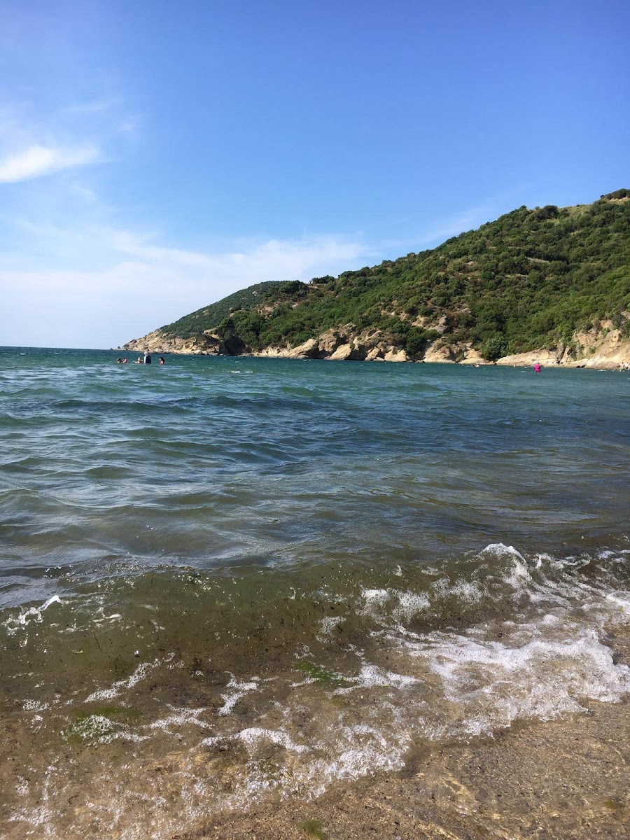 Kapıdağ Yarımadası — fotoğraf 4