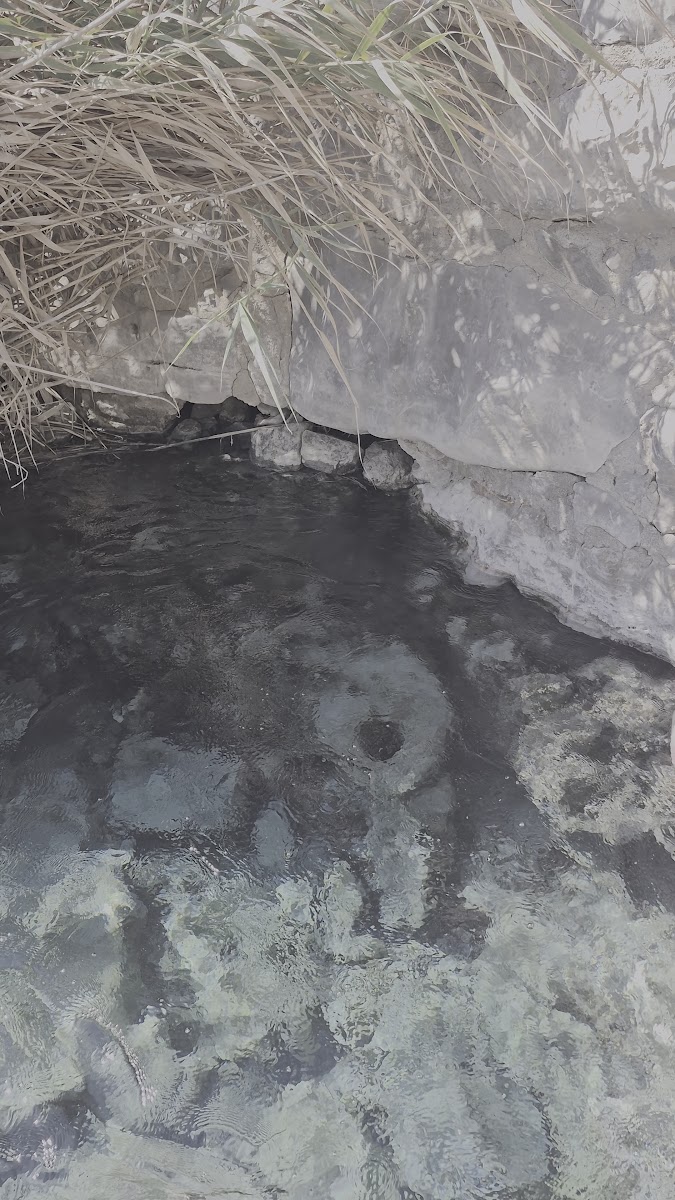 Kapıkargın Kükürt Kaplıcası — fotoğraf 2