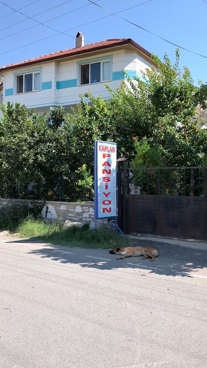 Kaplan Apart & Pansiyon — fotoğraf 3