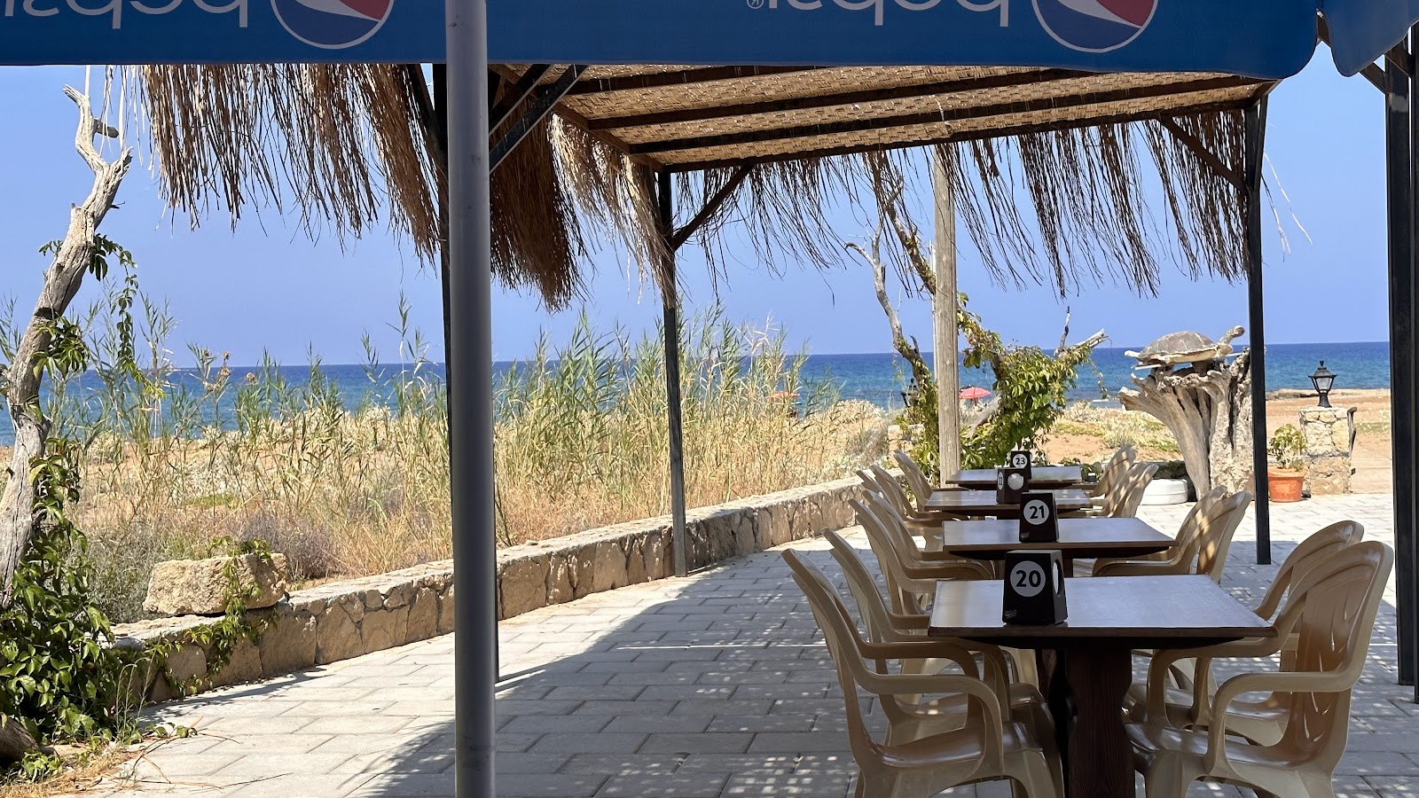 Kaplumbağa Plajı Lokanta Bar — photo