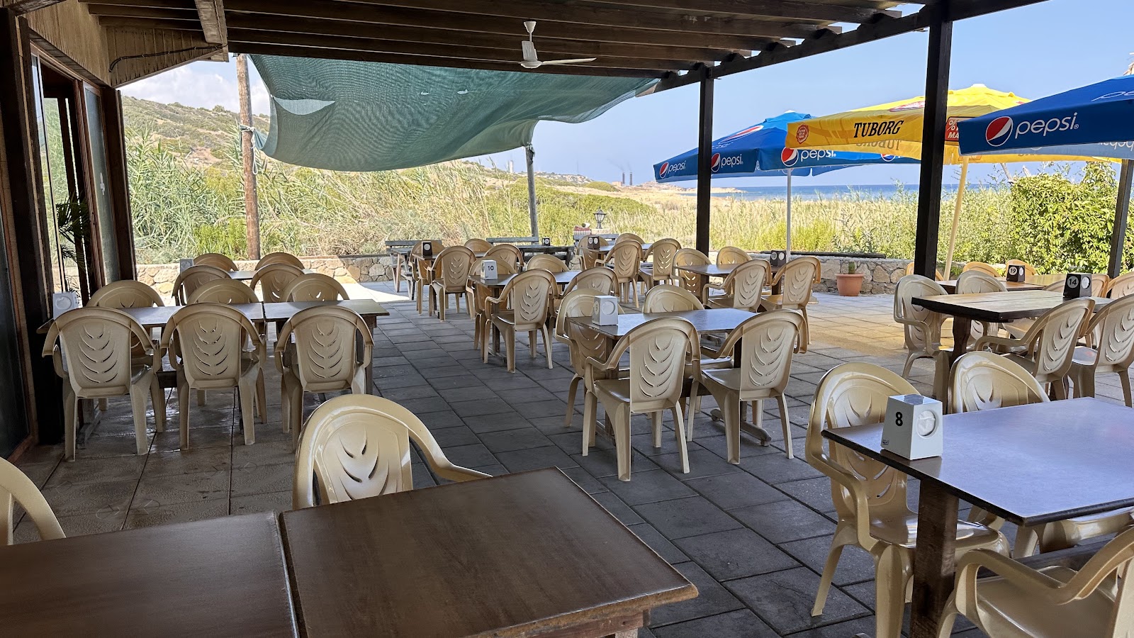 Kaplumbağa Plajı Lokanta Bar — photo 5