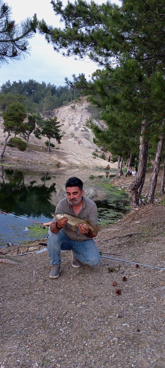Karaağaç Göleti — fotoğraf 2