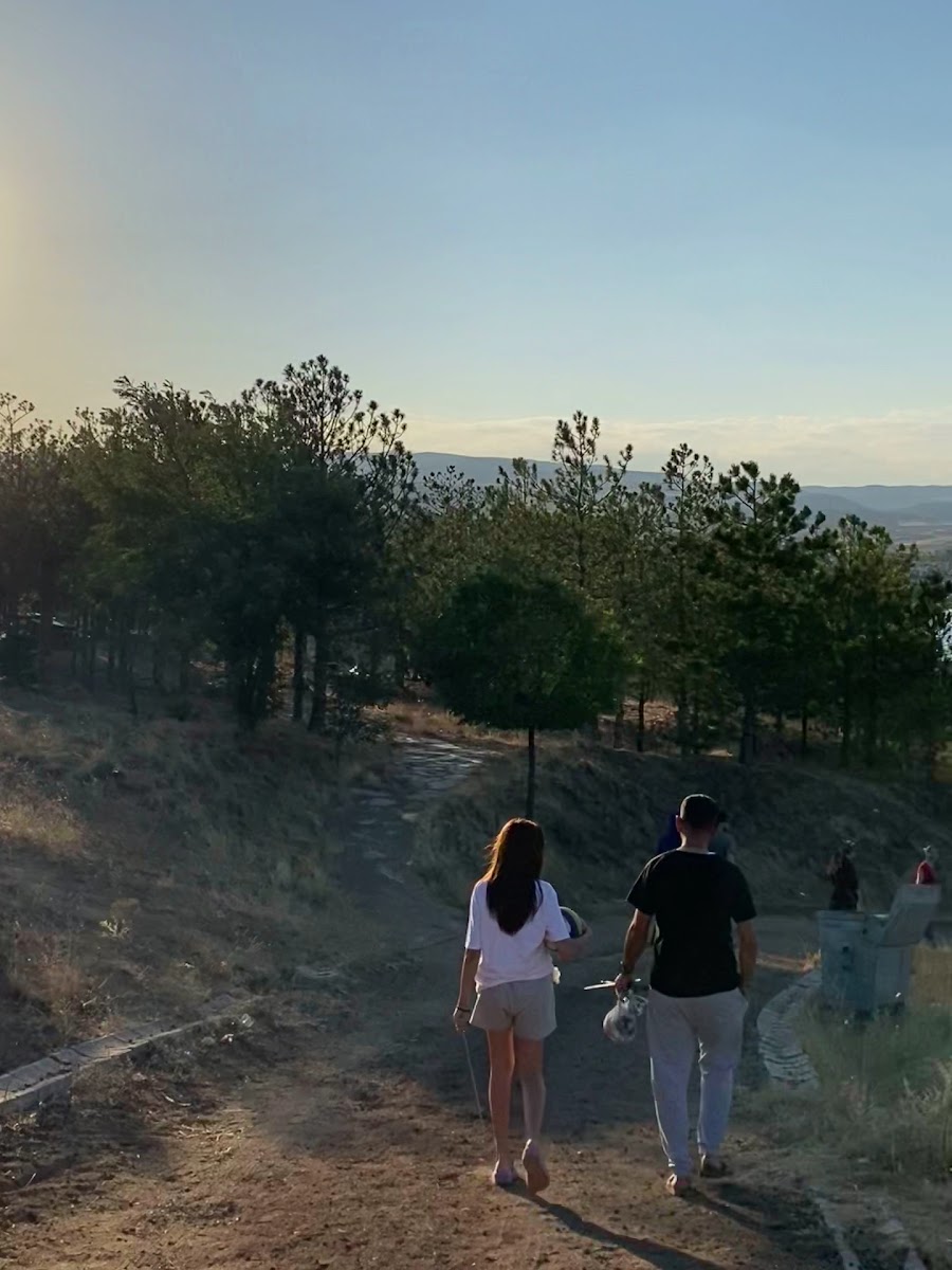 Karaahmetli Tabiat Parkı — fotoğraf 3