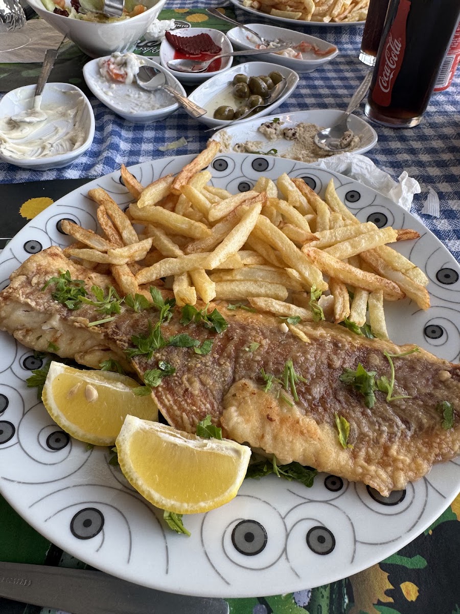Karabetca King Fish Restaurant & Plaj — fotoğraf 4