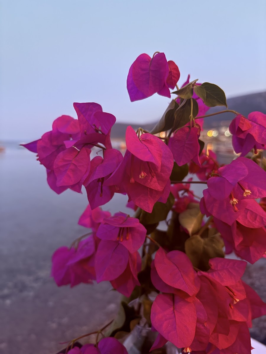 Karaburun — photo 3