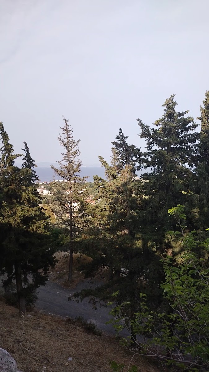 Karaburun — fotoğraf 3