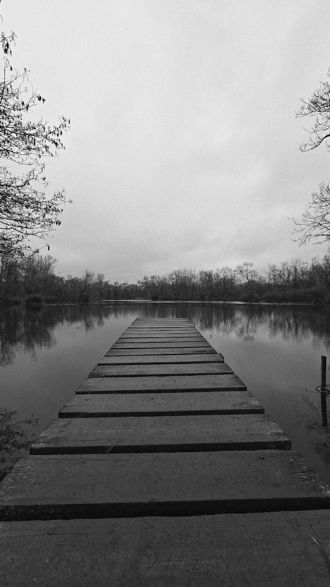 Karacabey Longoz Ormanları — fotoğraf 2