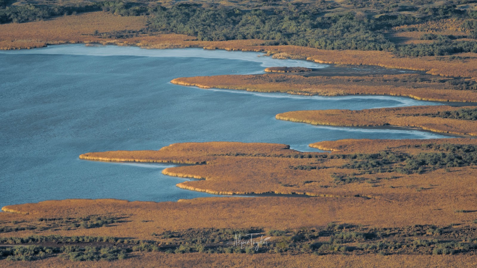 Karacabey Longoz Ormanları — fotoğraf 4