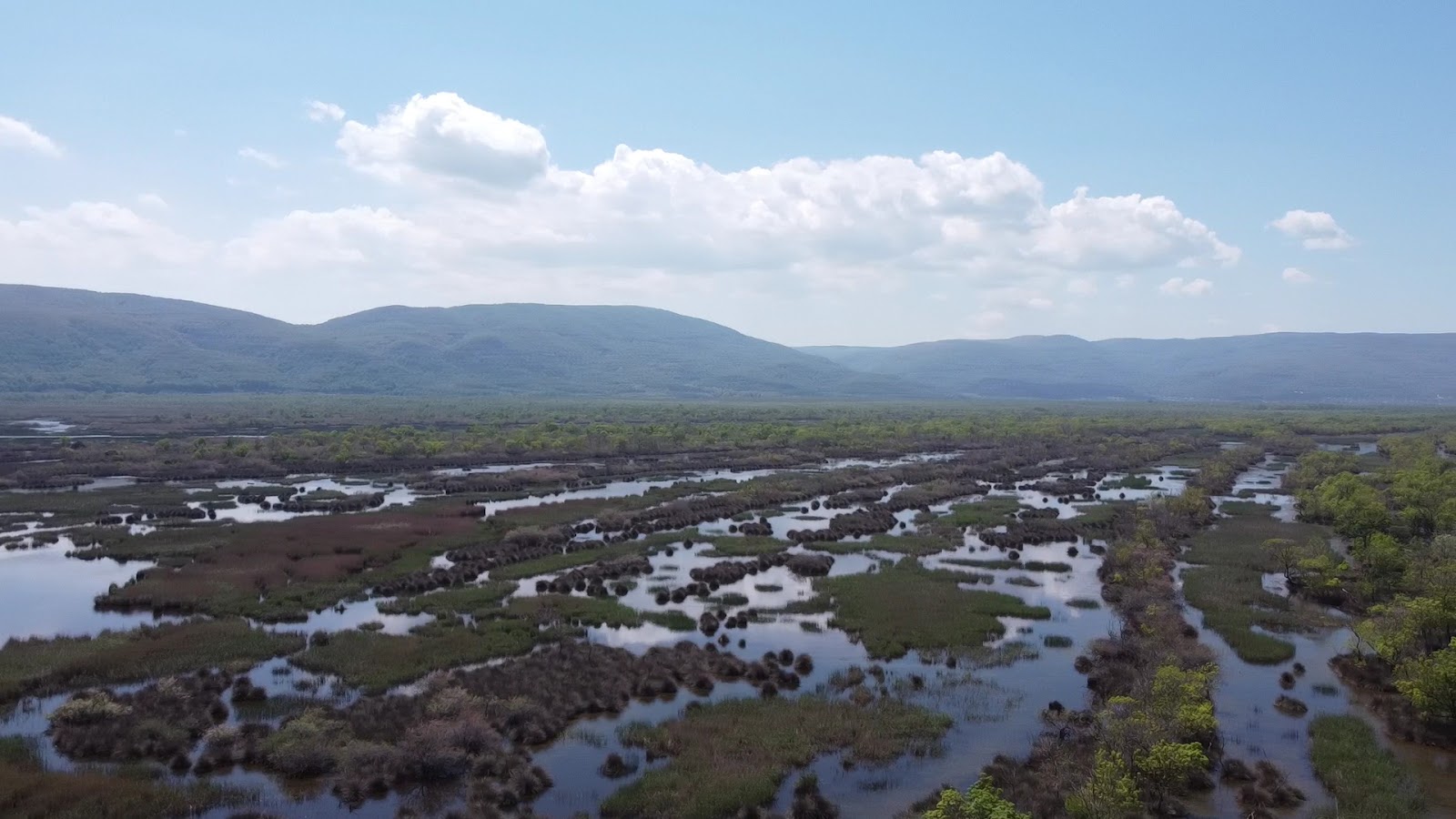 Karacabey Longozu Gözlem Kulesi — fotoğraf 3