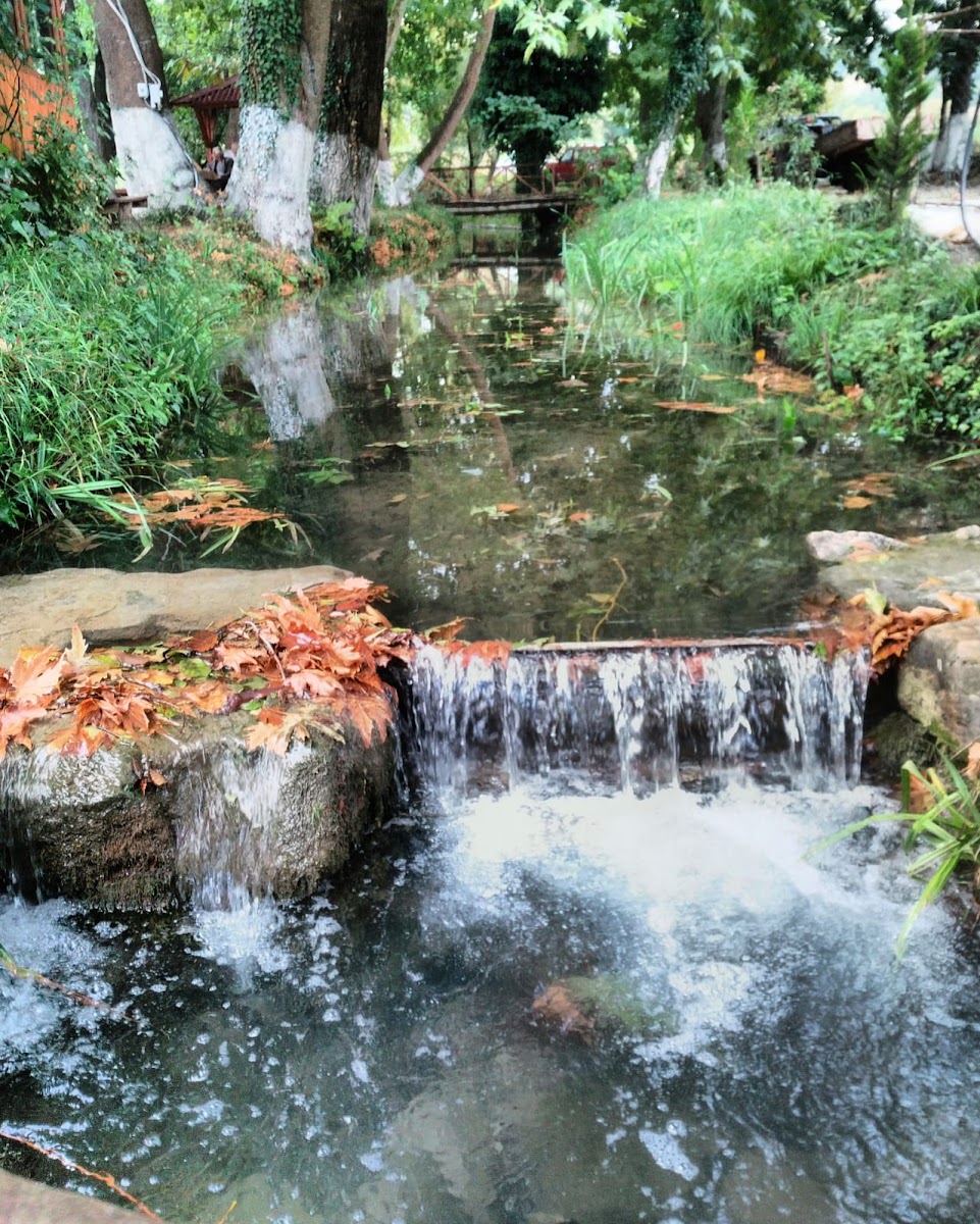 Karacasu Alabalık Tesisi Girişi — fotoğraf 4