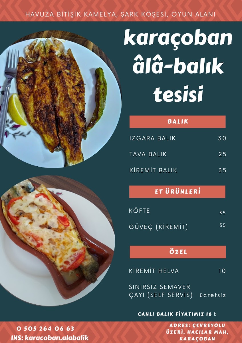 KARAÇOBAN ALABALIK TESİSİ — photo 2
