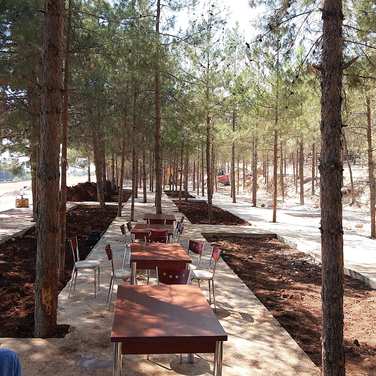 Karadağ Kent Ormanı — fotoğraf 4