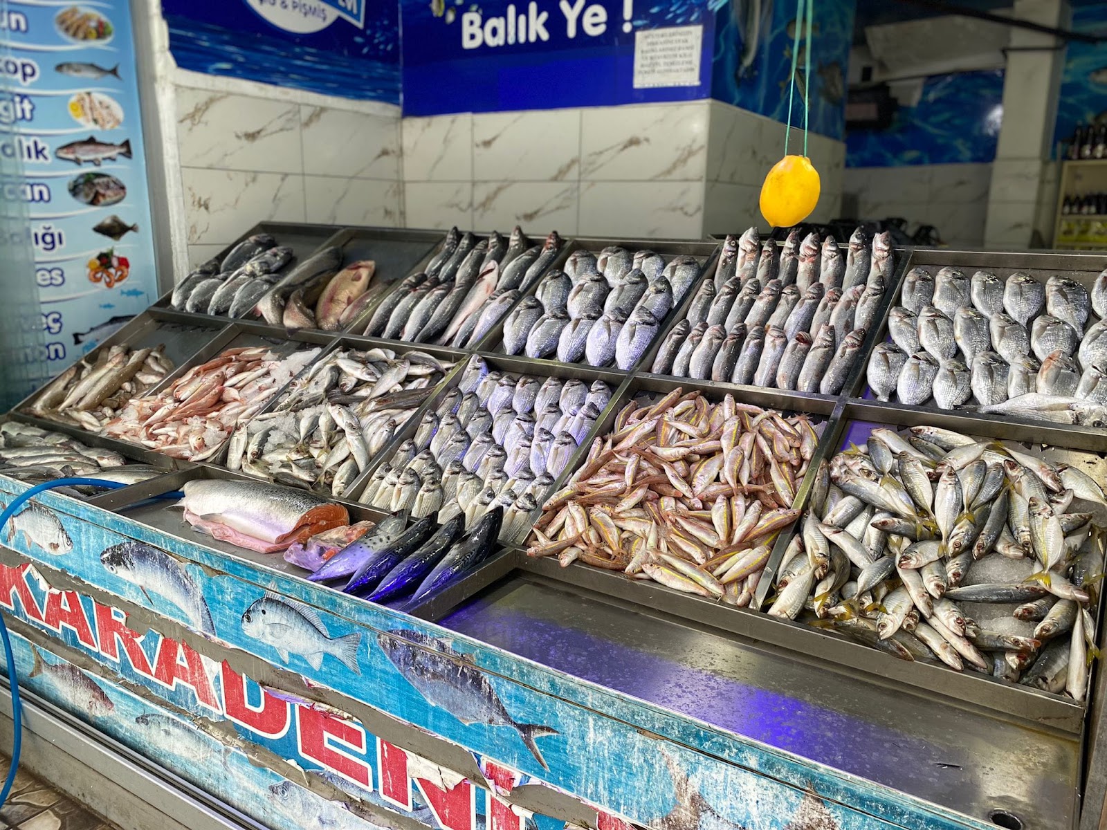 Karadeniz Balık Evi — fotoğraf 4