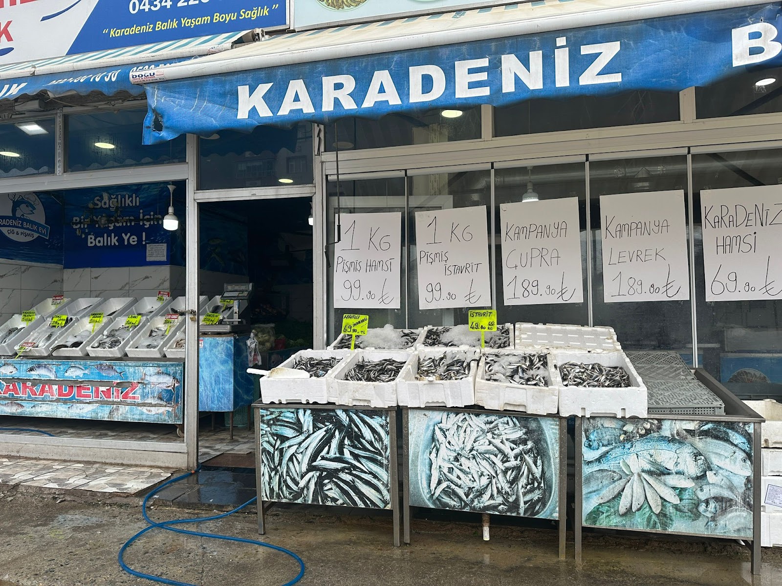 Karadeniz Balıkçılık — fotoğraf 2