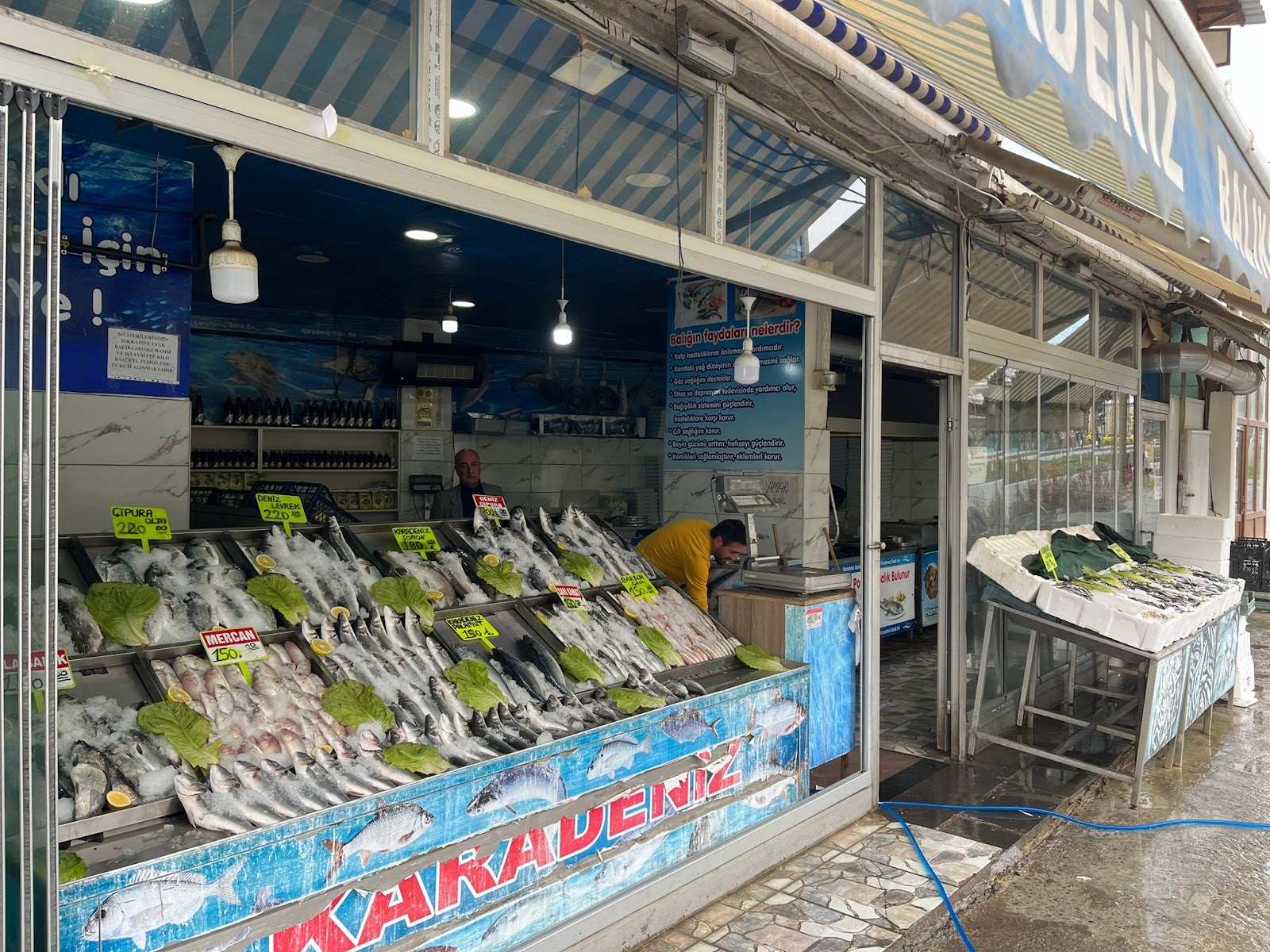 Karadeniz Balıkçılık — fotoğraf 3