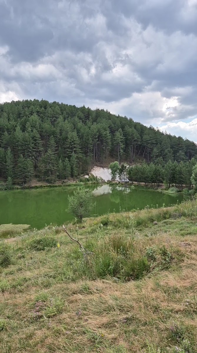 Karagöl Milli Parkı (Tabiat Parkı) — photo 2