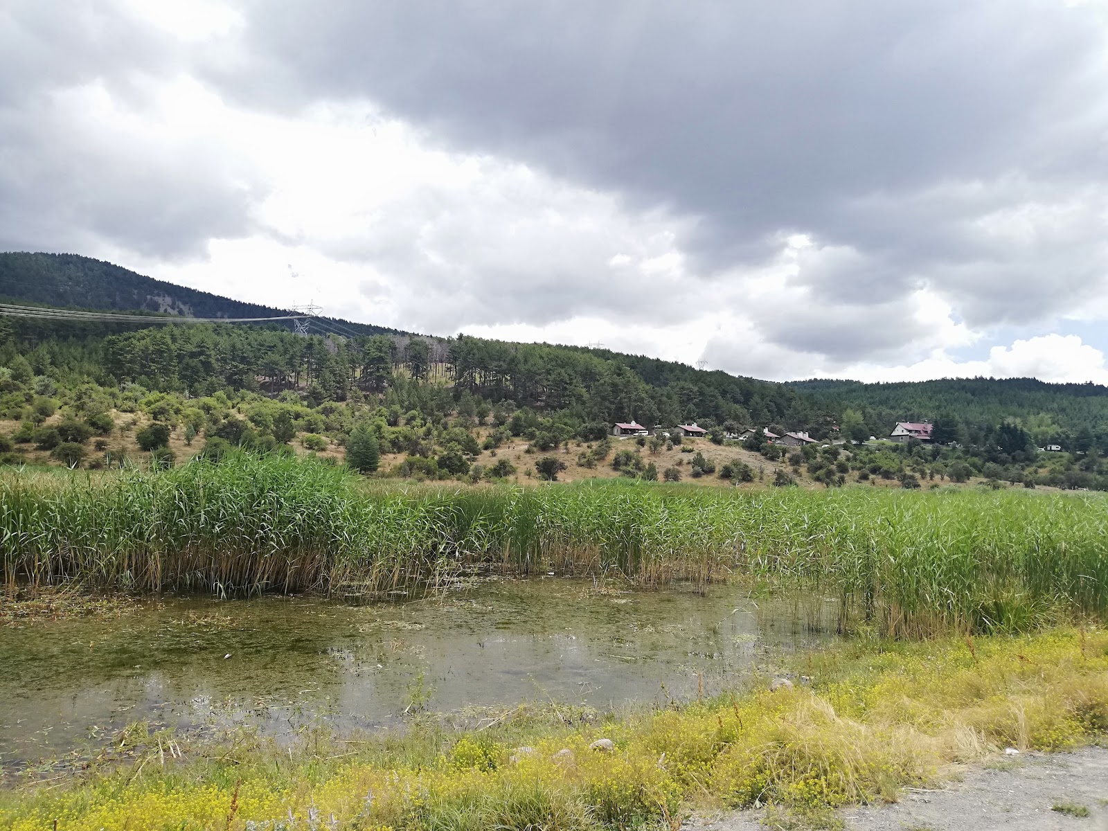 Karagöl Milli Parkı (Tabiat Parkı) — photo 5