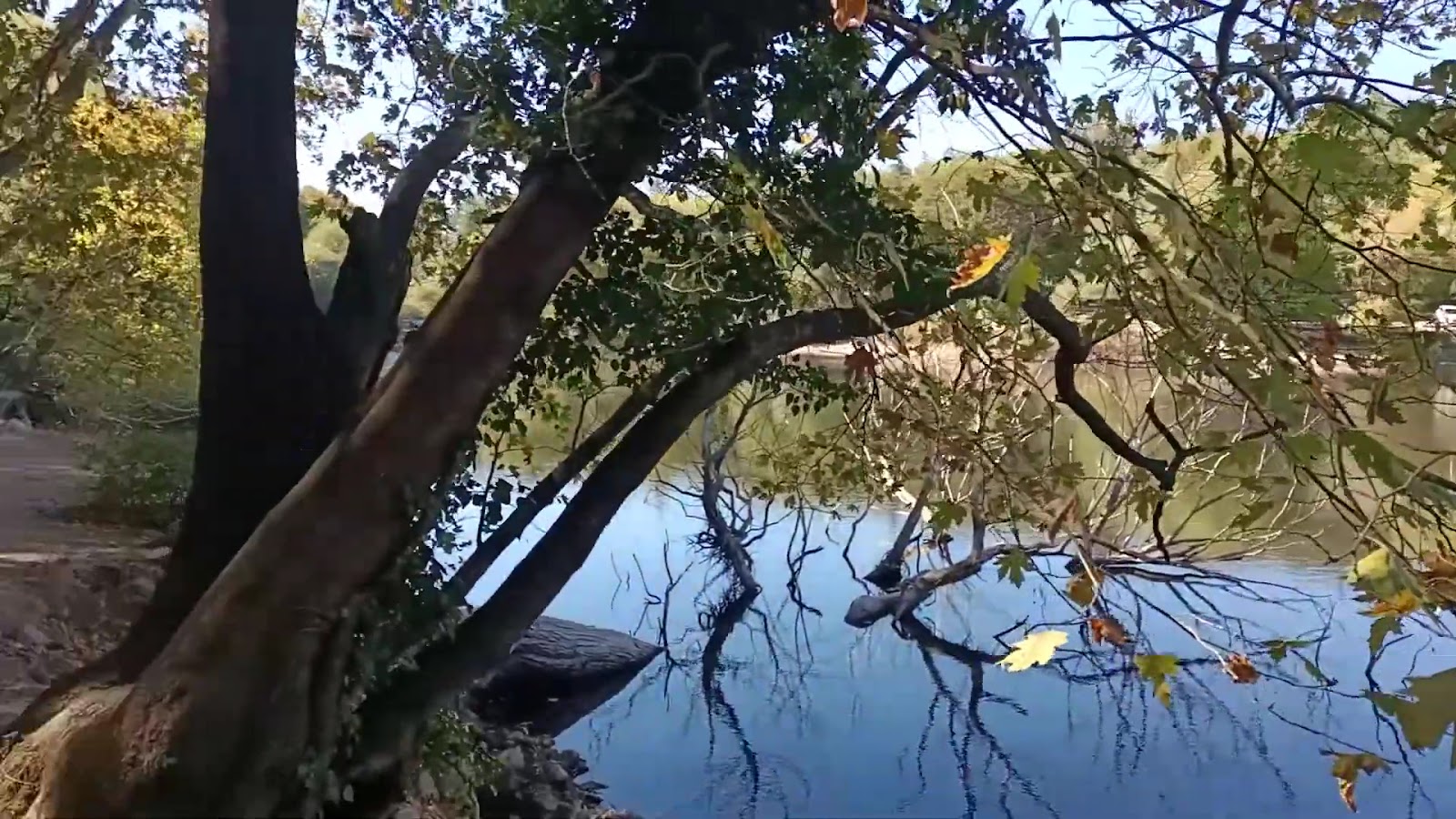 Karagöl Orman Kampı — fotoğraf 5